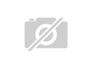 Umzug in Wien von Umzugsfirma